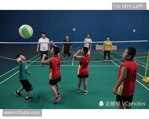 李敏专访：回顾排球历程